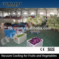 HIGHLY IMPROVED TECHNOLOGY VACUUM PRE COOLING MACHINE FOR FRESH FISH MEAT VEGETABLE FRUIT